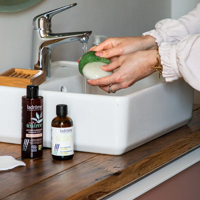 Routine Anti-imperfections PUR'tea tree bio