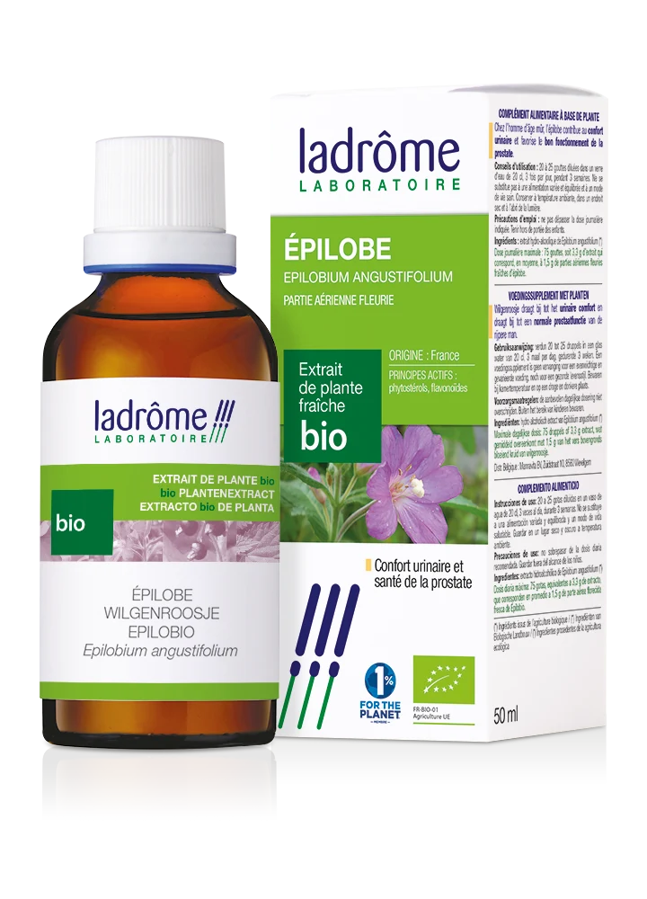 Épilobe - Extrait bio