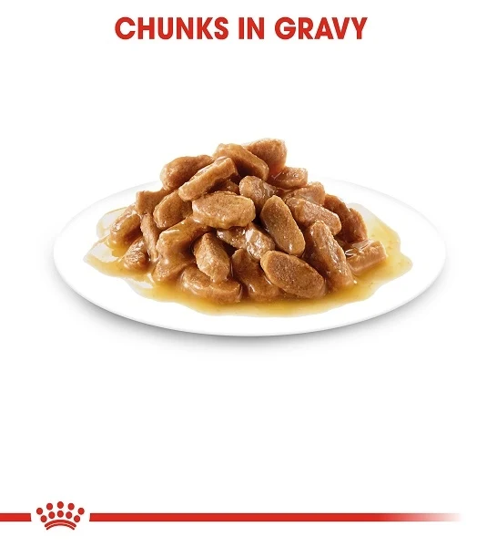 Royal Canin Mini Puppy In Gravy Wet Food