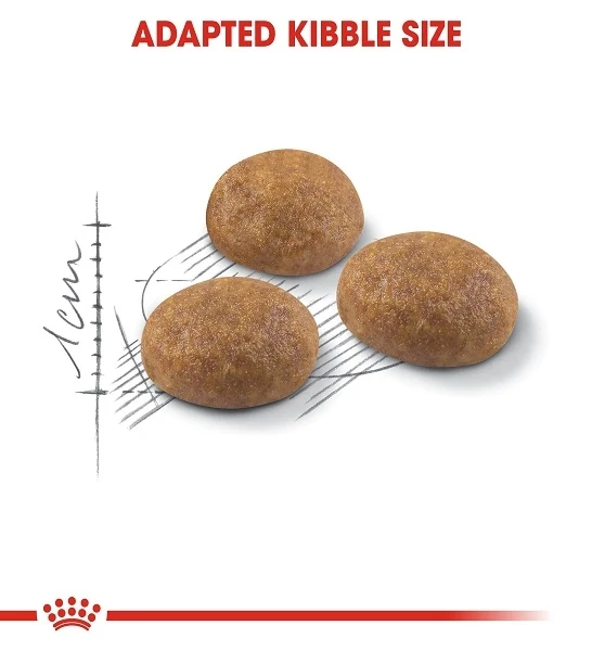 Royal Canin Active Life Outdoor Adult Dry Cat Food 2KG