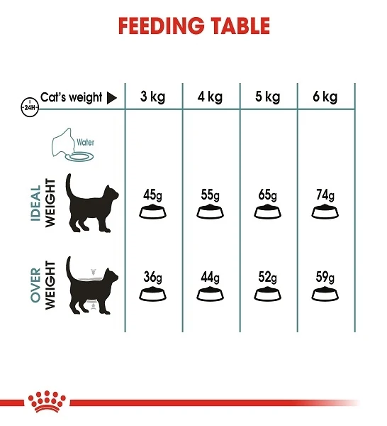 Royal Canin Hairball Care Adult Dry Cat Food