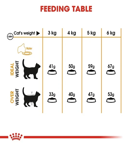 Royal Canin Hair & Skin Adult Dry Cat Food