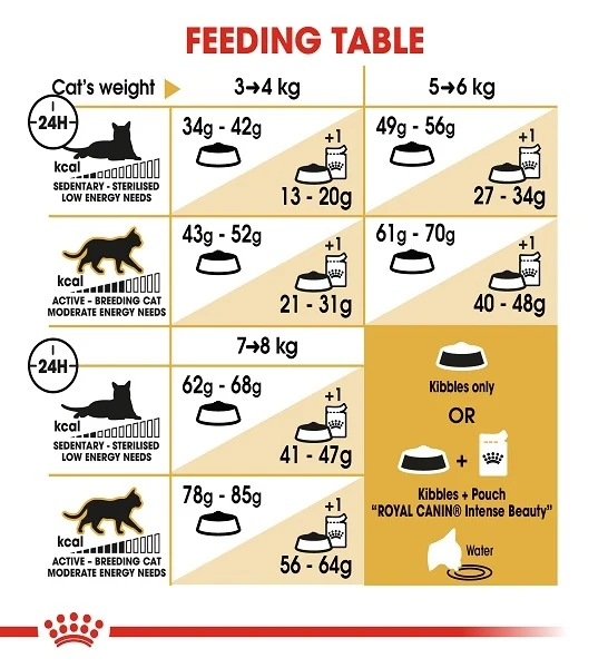 Royal Canin Ragdoll Adult Dry Cat Food 2KG