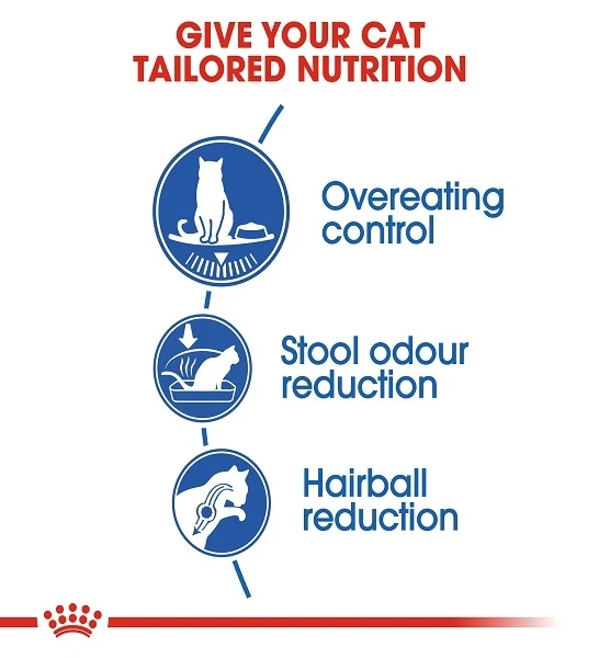 Royal Canin Indoor Appetite Control Adult Dry Cat Food 2KG