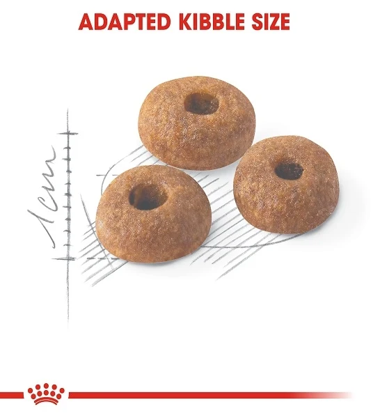 Royal Canin Regular Fit 32 Adult Dry Cat Food