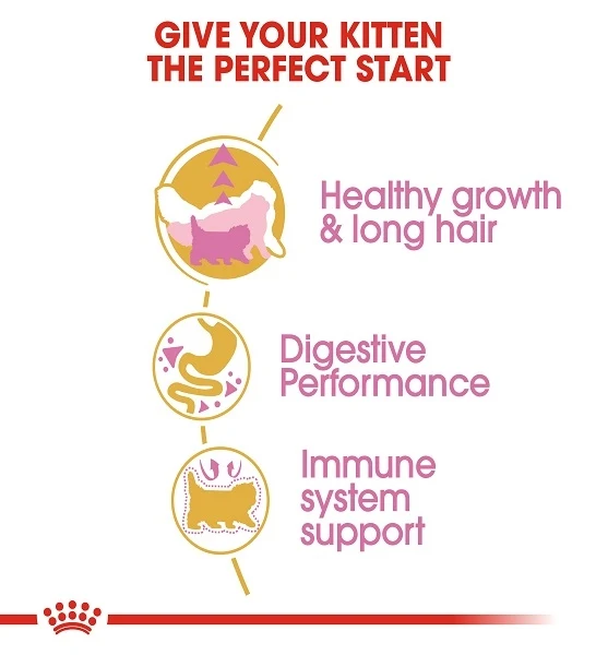 Royal Canin Persian Kitten Dry Food