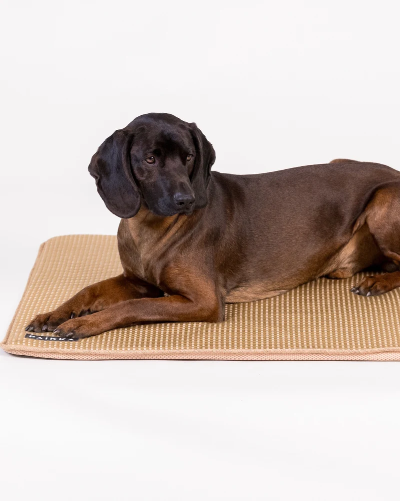 Tapis Rafraîchissant pour Chien Cooling Blanket – PAIKKA
