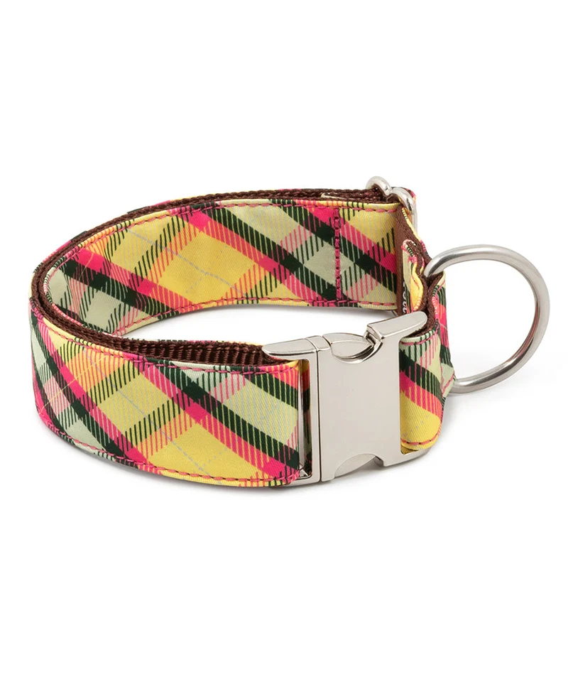 Laisse pour chien Mollet – Brott Barcelona