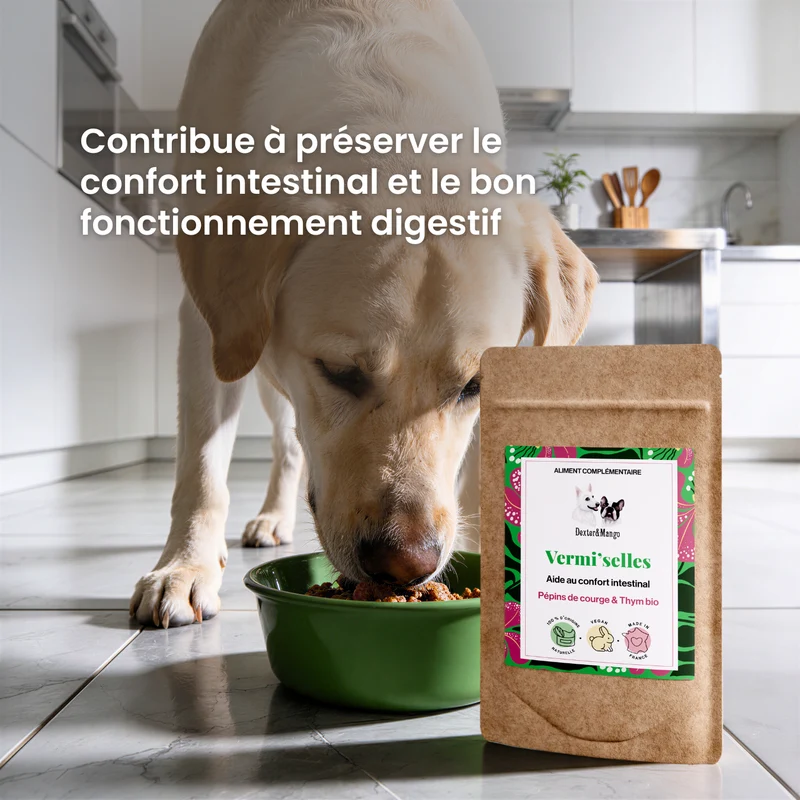 Digestion chien et chat : L’aliment complémentaire Vermi'selles