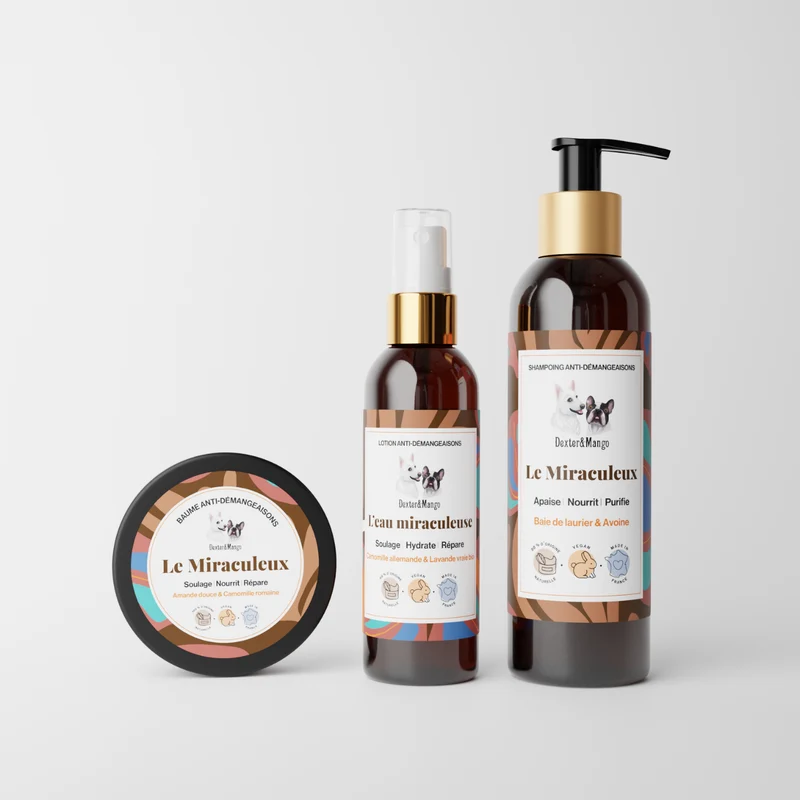 Problème de peau du chien : la routine Miraculeuse pour apaiser en douceur