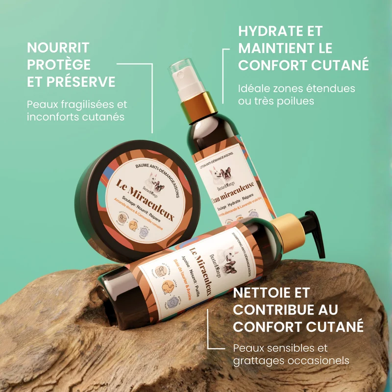 Problème de peau du chien : la routine Miraculeuse pour apaiser en douceur