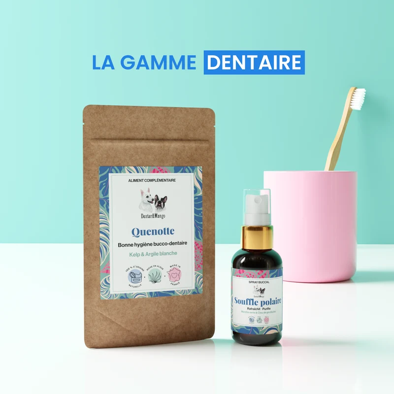 Spray buccal pour chien : Souffle polaire
