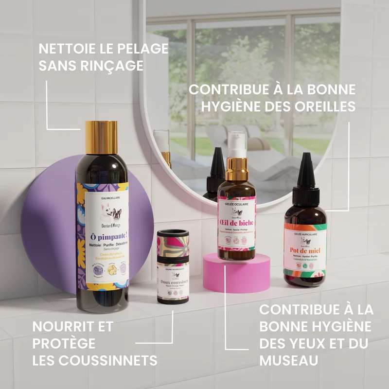 Produit pour chien : le pack des essentiels Dexter & Mango à glisser dans votre pochette