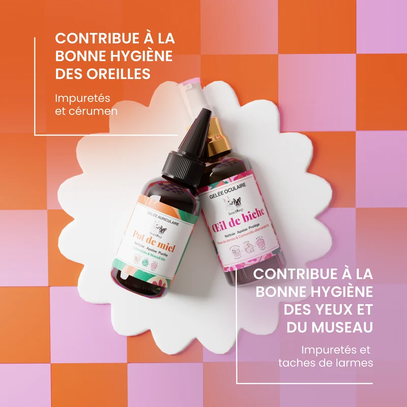 Pot de miel + Œil de biche : les soins naturels pour les oreilles et les yeux de votre chien
