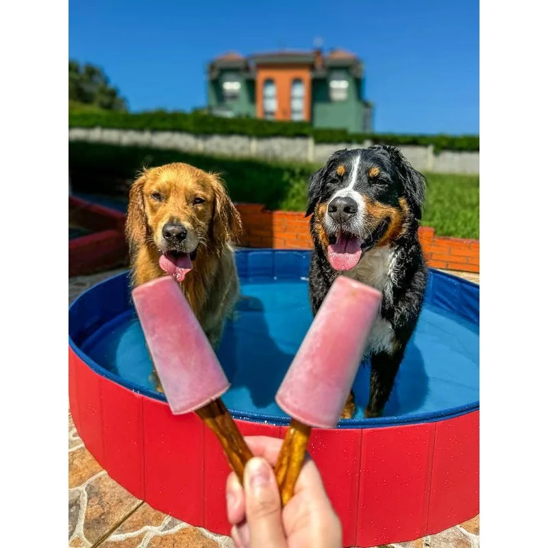 Préparation Glace pour Chien & Chat | Cooka's Cookies 💥 -20%