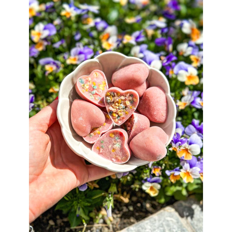 Préparation Glace pour Chien & Chat | Cooka's Cookies 💥 -20%