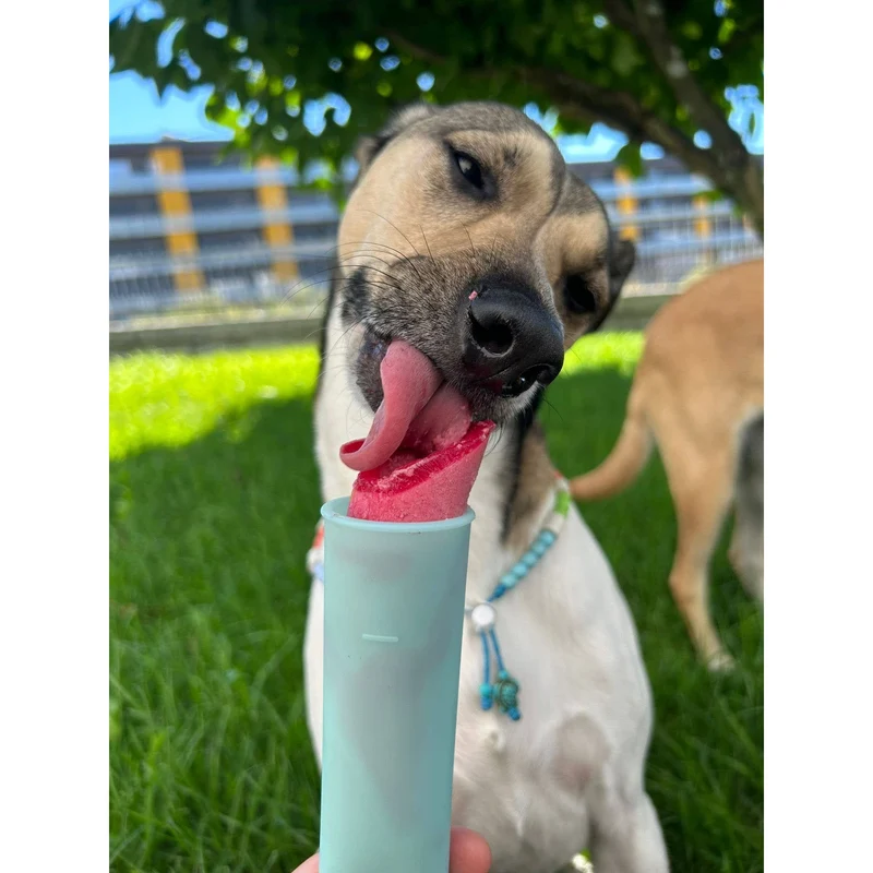 Préparation Glace pour Chien & Chat | Cooka's Cookies 💥 -20%