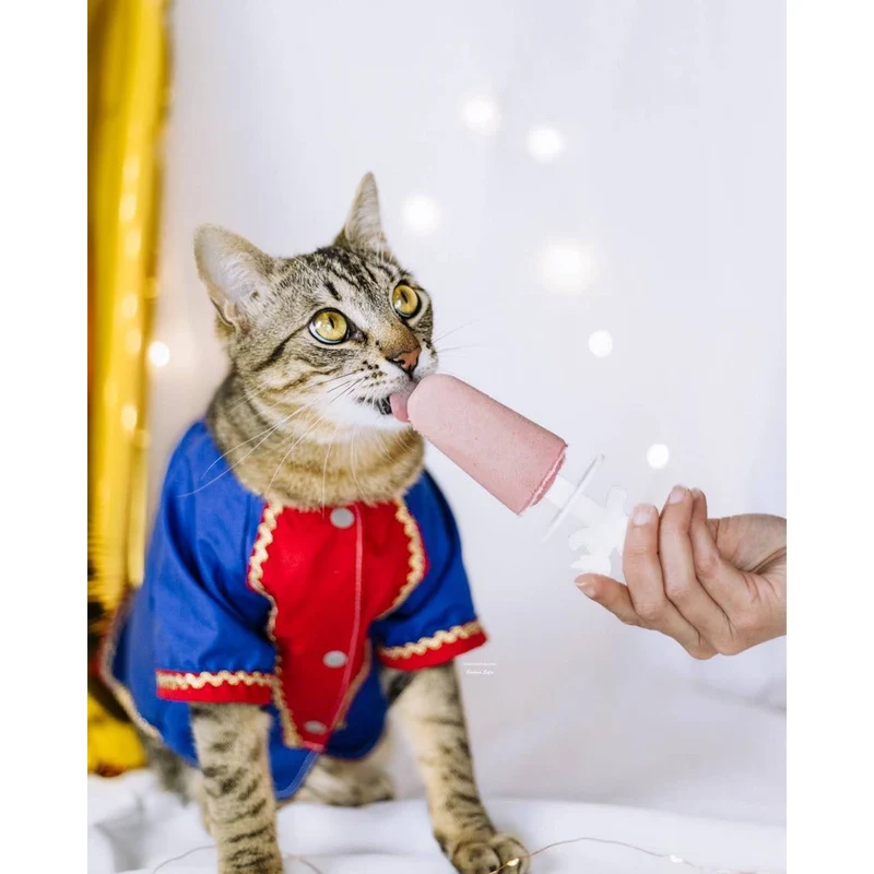Préparation Glace pour Chien & Chat | Cooka's Cookies 💥 -20%