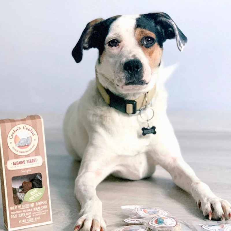 Friandises Caroube et Banane Chien | Cooka's Cookies