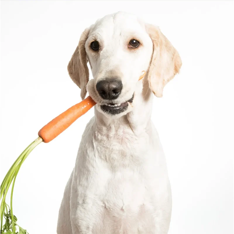 Flocons de Carotte pour Chien | Cooka's Cookies