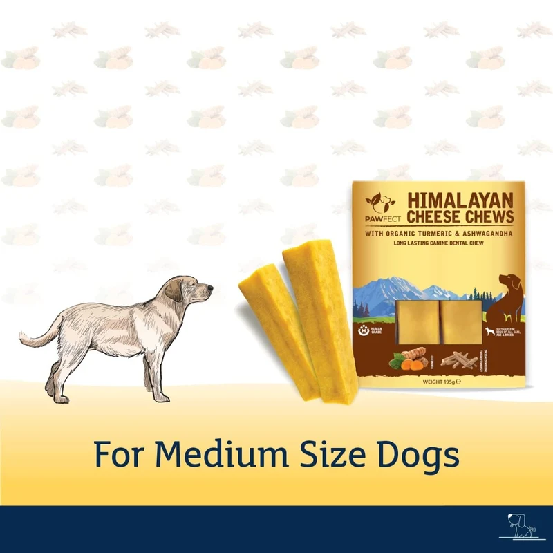 Barres de Fromage de Yak pour Chien au Curcuma & Ashwagandha