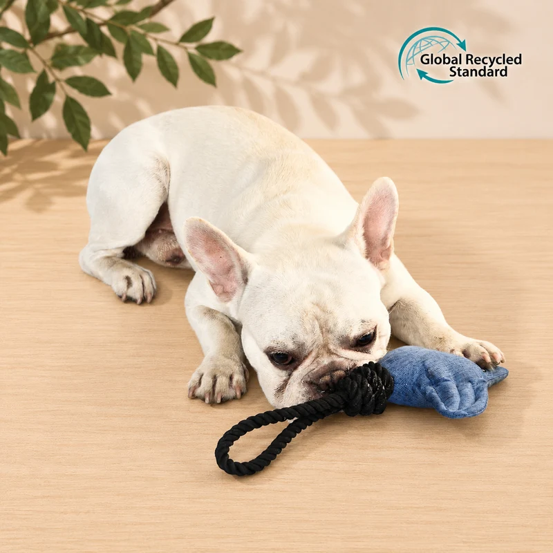Peluche sonore écologique pour chien – Raie avec corde