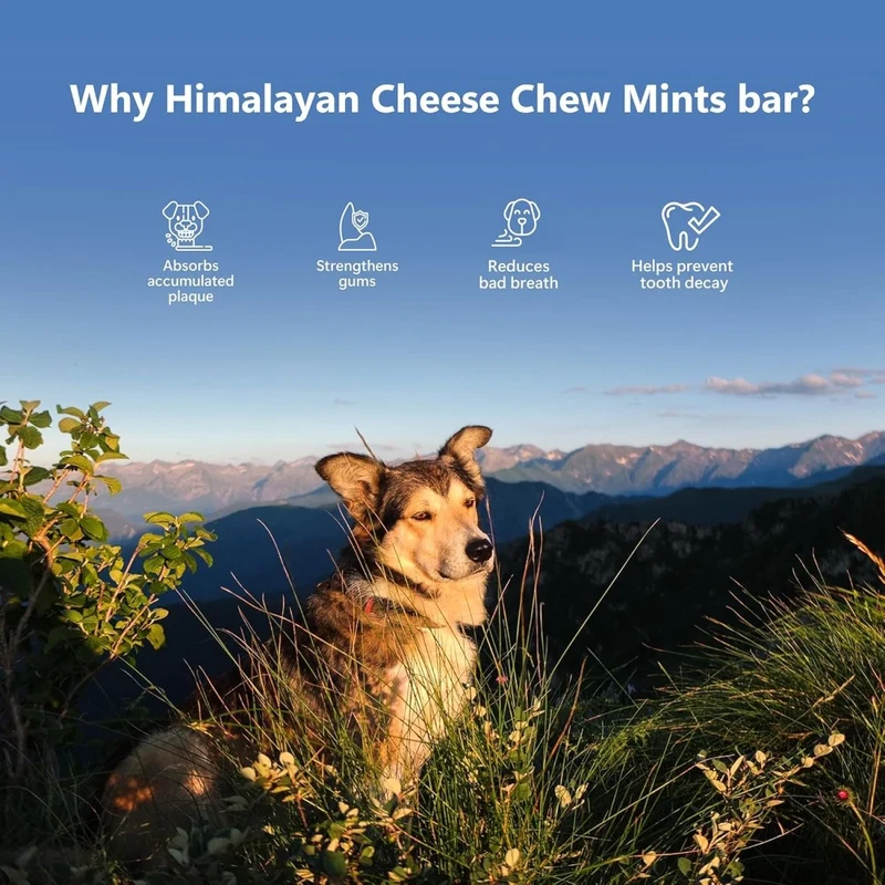 Fromage de yak à la menthe pour chien Taille M 3 bâtons