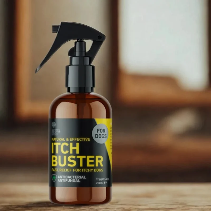 Spray Anti-Démangeaisons l’argent colloïdal pour Chiens