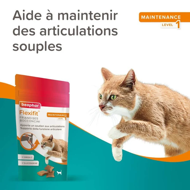 Flexifit Friandises articulations pour chat - 35g - Offert - DDM dépassée · Anti-gaspillage