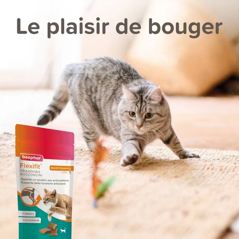 Flexifit Friandises articulations pour chat - 35g - Offert - DDM dépassée · Anti-gaspillage