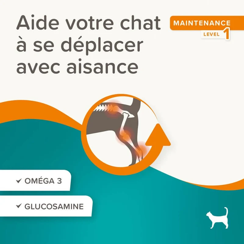 Flexifit Friandises articulations pour chat - 35g - Offert - DDM dépassée · Anti-gaspillage