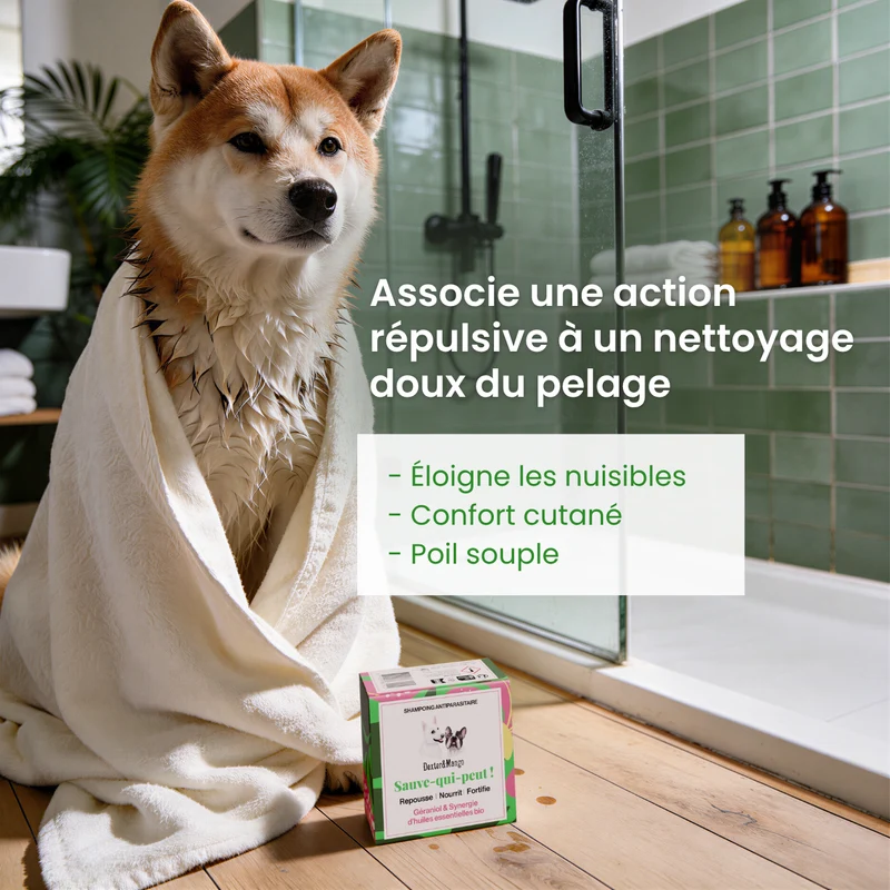 Shampoing solide antiparasitaire : Sauve-qui-peut !