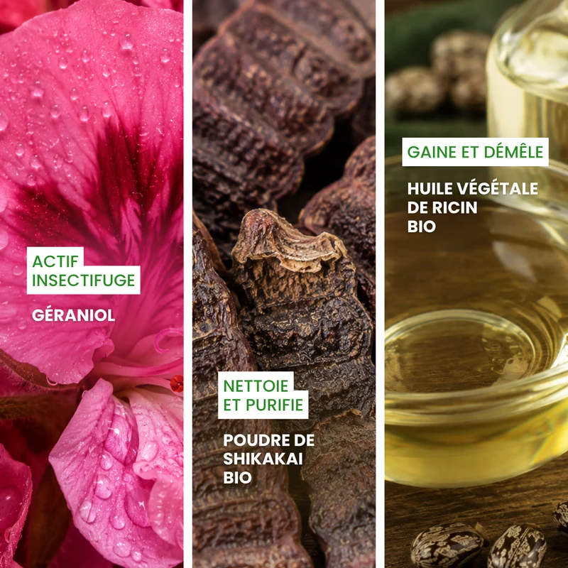 Shampoing solide antiparasitaire : Sauve-qui-peut !