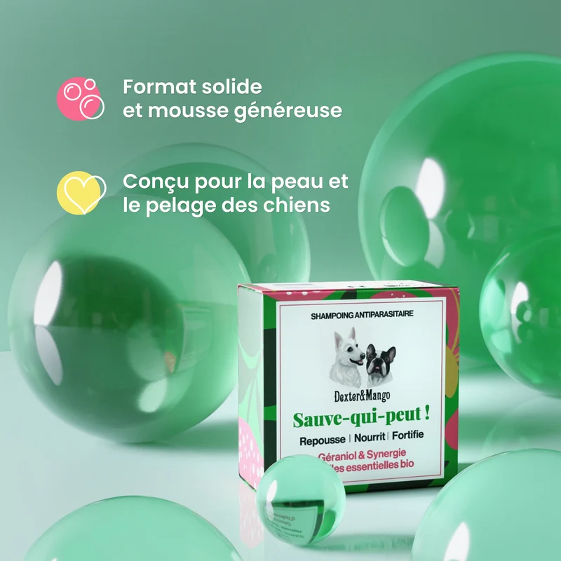 Shampoing solide antiparasitaire : Sauve-qui-peut !