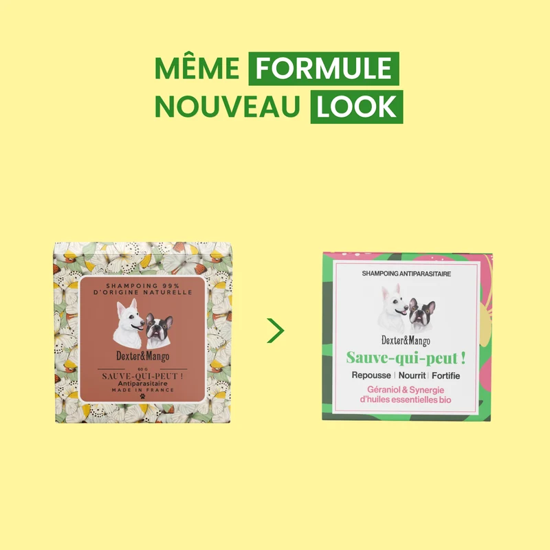 Shampoing solide antiparasitaire : Sauve-qui-peut !