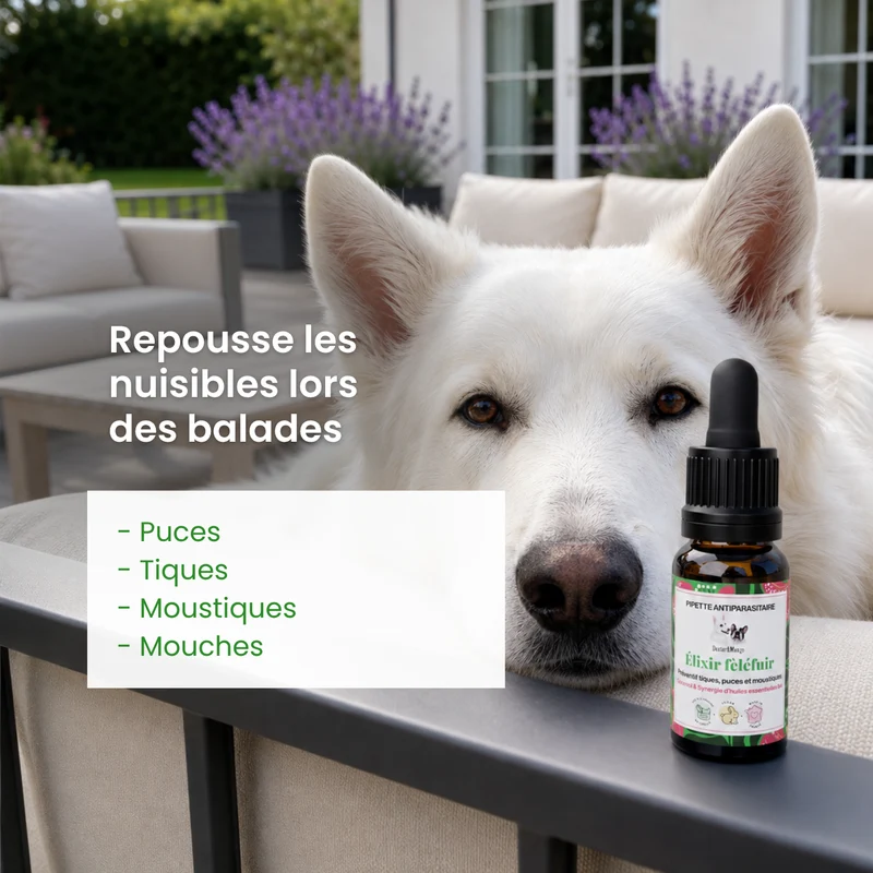 Élixir Fèléfuir : Huile répulsive pour chien