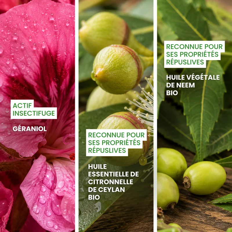 Élixir Fèléfuir : Huile répulsive pour chien