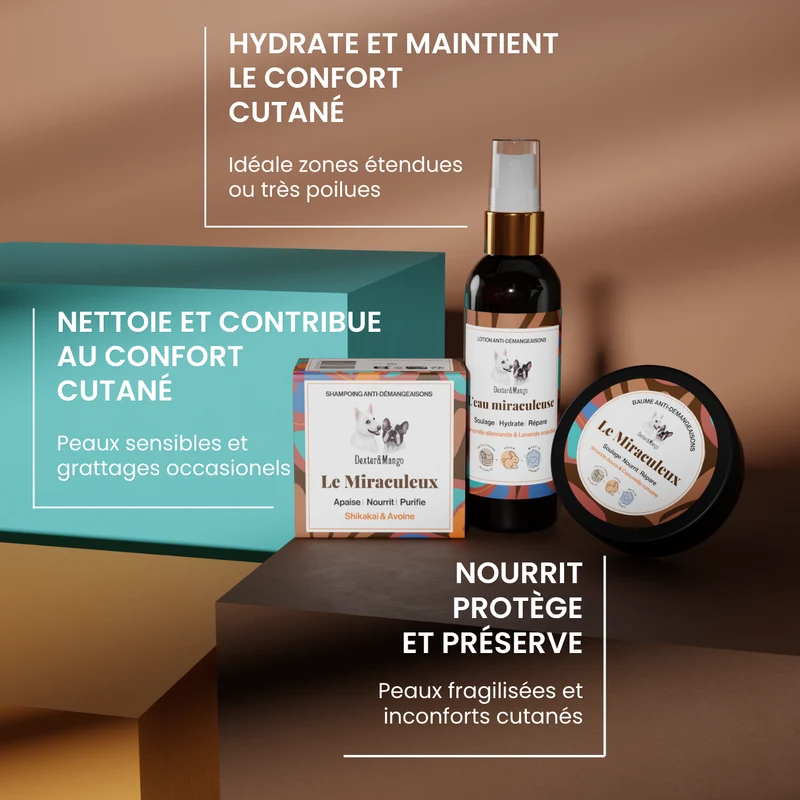 Le pack Miraculeux : une routine naturelle et douce pour les peaux de chien sensibles