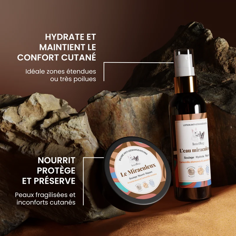 L’eau Miraculeuse et le baume Miraculeux : les soins pour chien qui font vraiment la différence