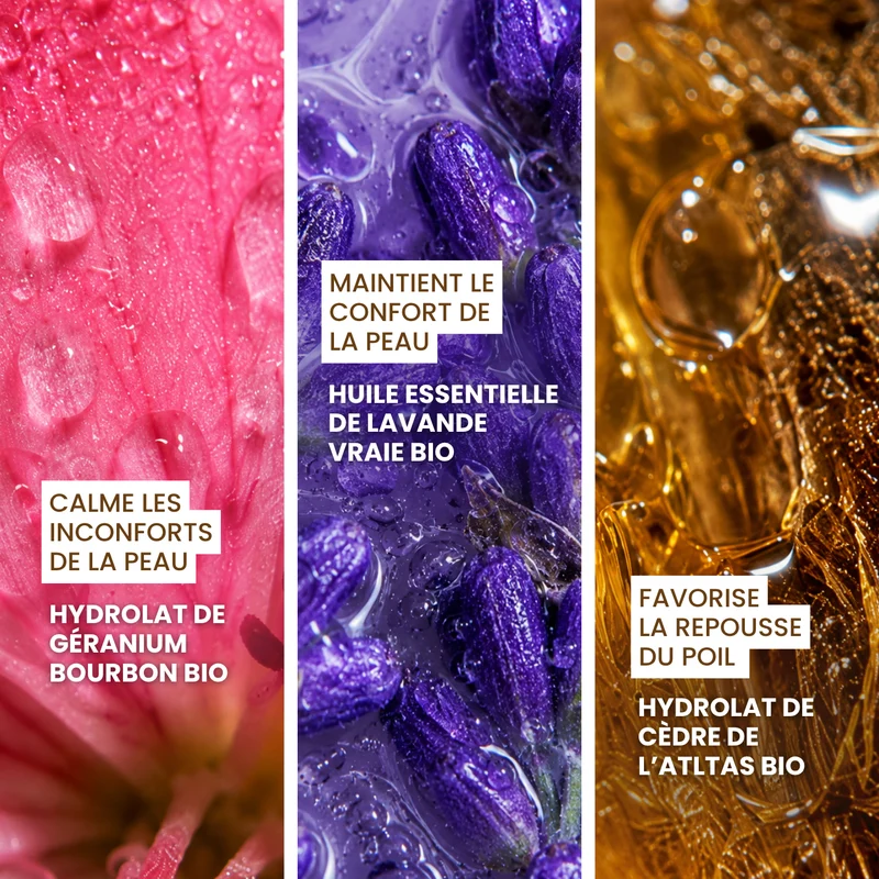 L’Eau Miraculeuse : Lotion apaisante pour chien