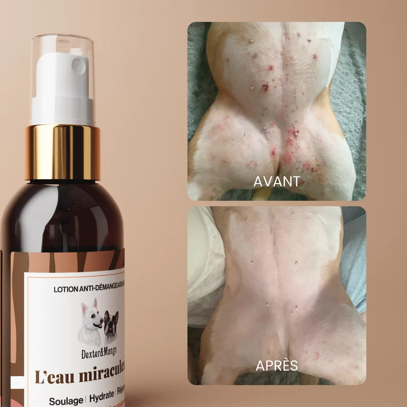 L’Eau Miraculeuse : Lotion apaisante pour chien