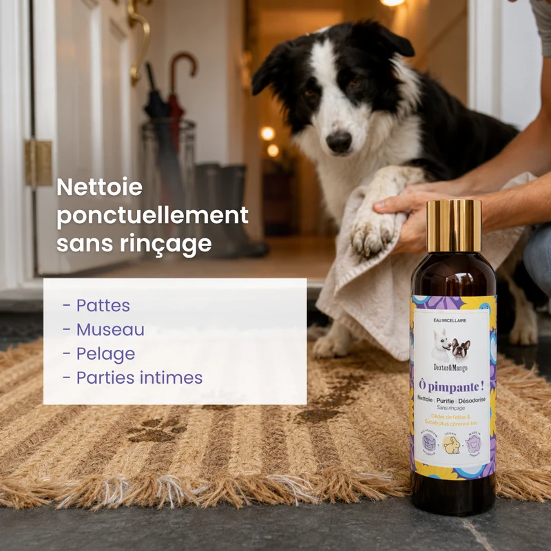 Eau micellaire pour chien nettoyante : Ô Pimpante !