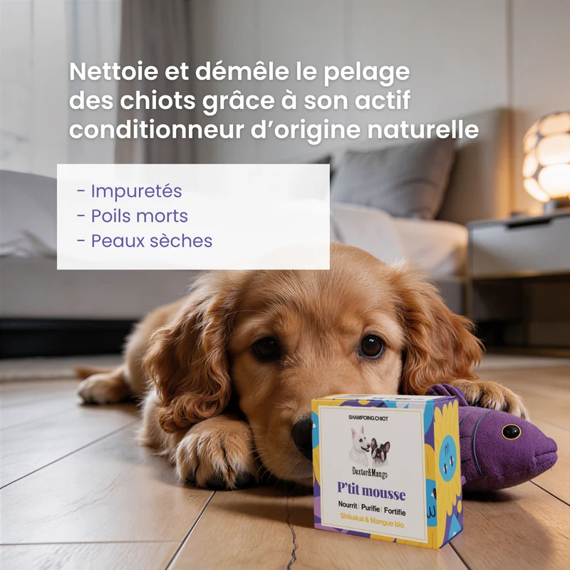 Shampoing solide pour chiot : P'tit mousse