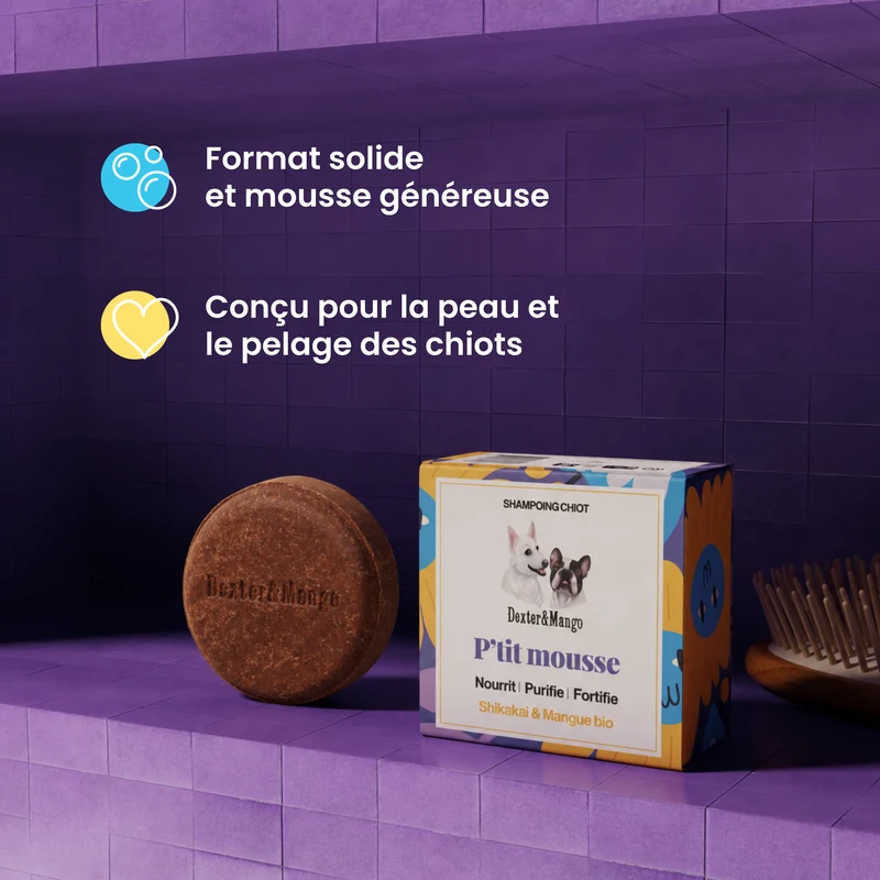 Shampoing solide pour chiot : P'tit mousse