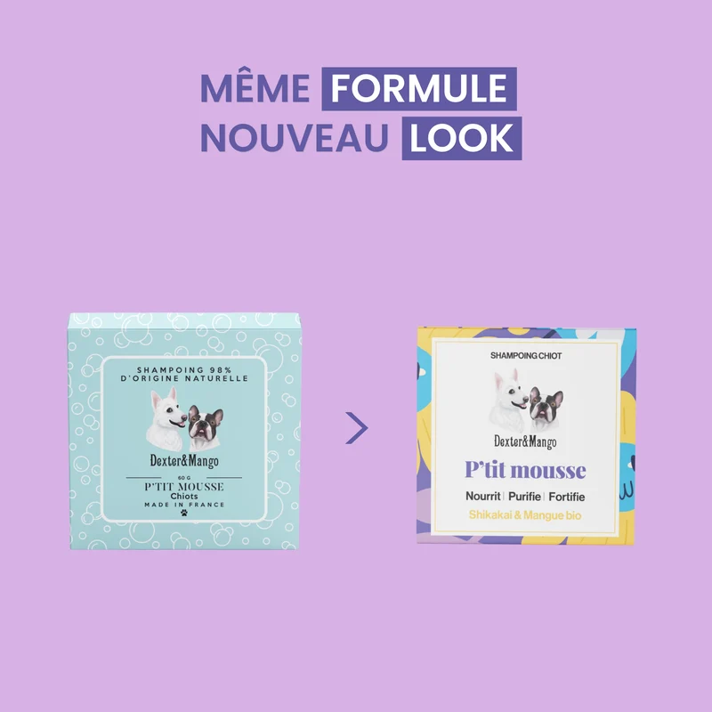 Shampoing solide pour chiot : P'tit mousse