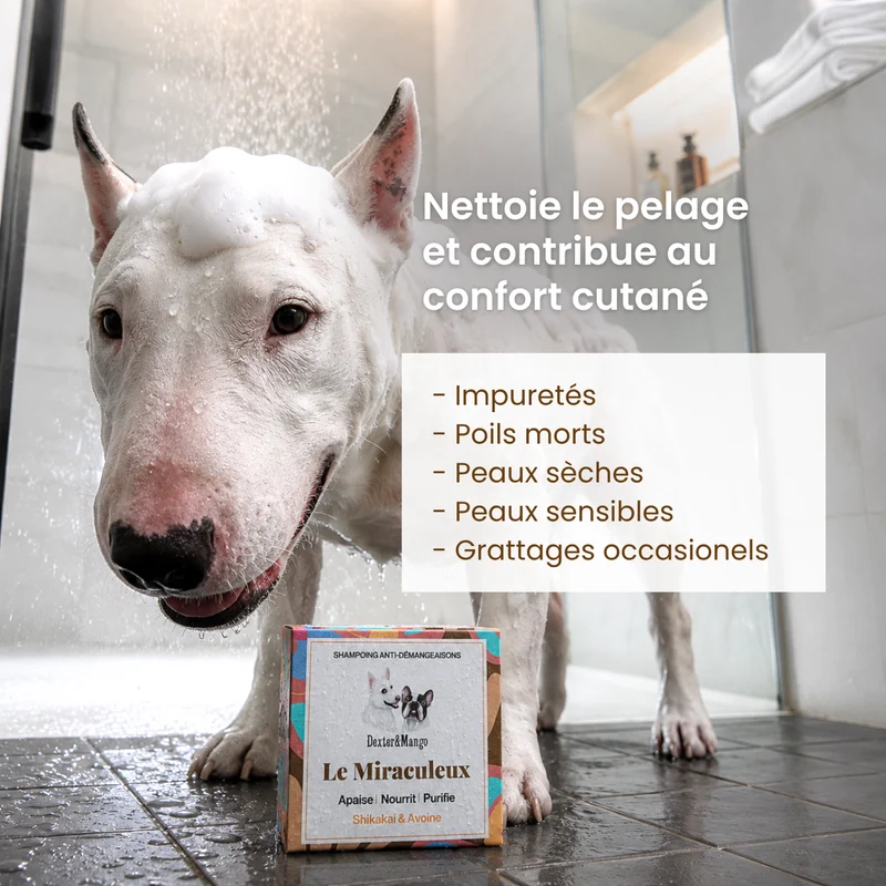 Shampoing solide Le Miraculeux : Confort des peaux sensibles