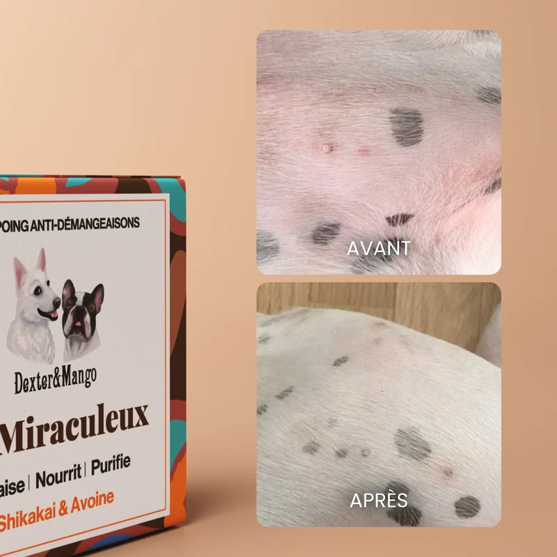 Shampoing solide Le Miraculeux : Confort des peaux sensibles