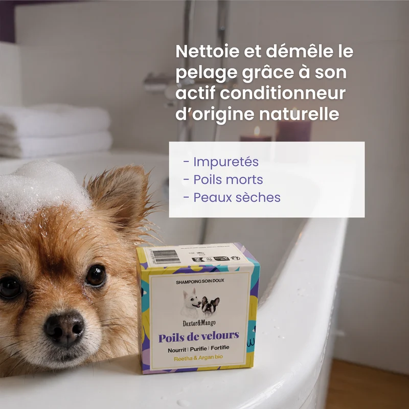 Shampoing solide universel pour chien : Poils de velours