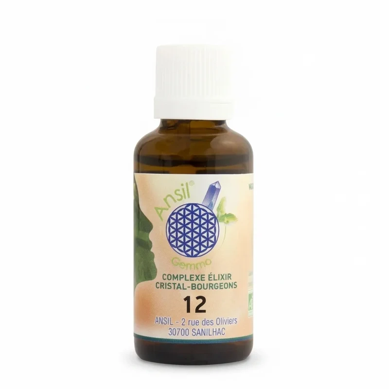 Complexe bio Magnétique, Ronce, Cassis et Romarin - 30 ml - Ansil