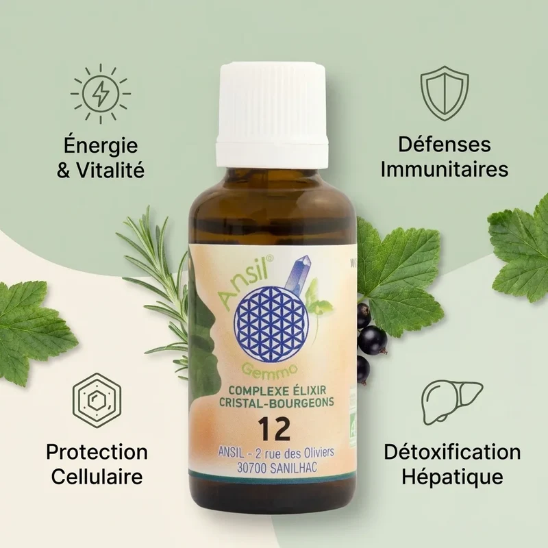 Complexe bio Magnétique, Ronce, Cassis et Romarin - 30 ml - Ansil